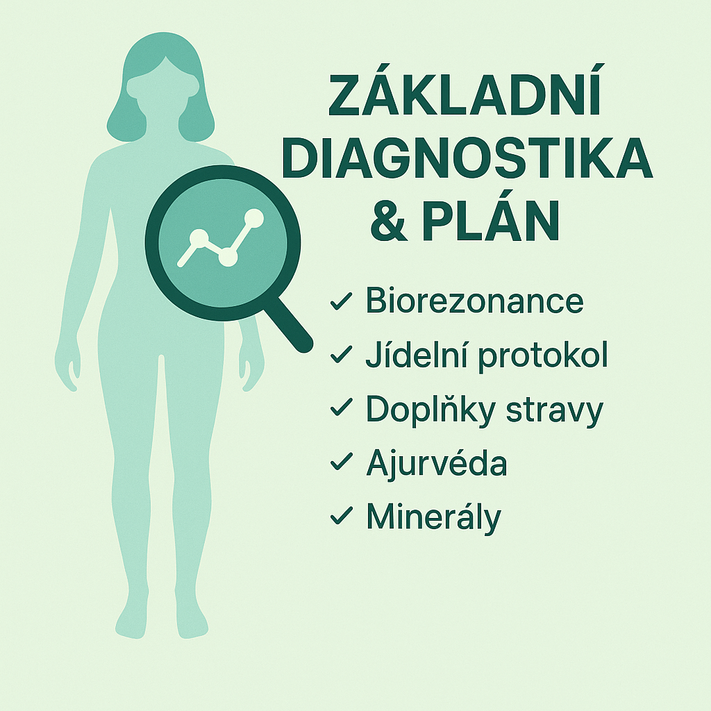 Základní diagnostika & plán